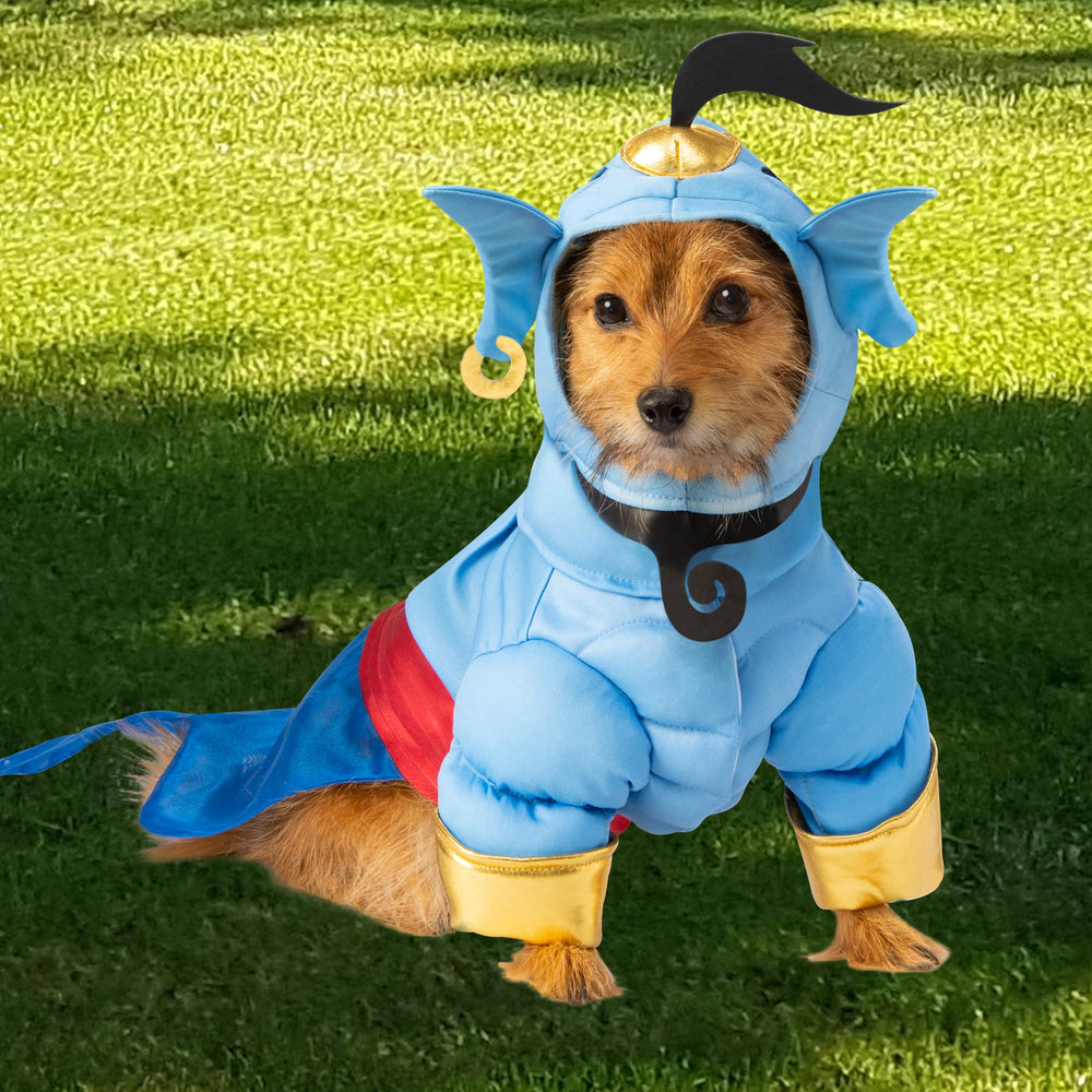 Rubies Aladdin Genie: costume parfait pour Halloween et cosplay animal.