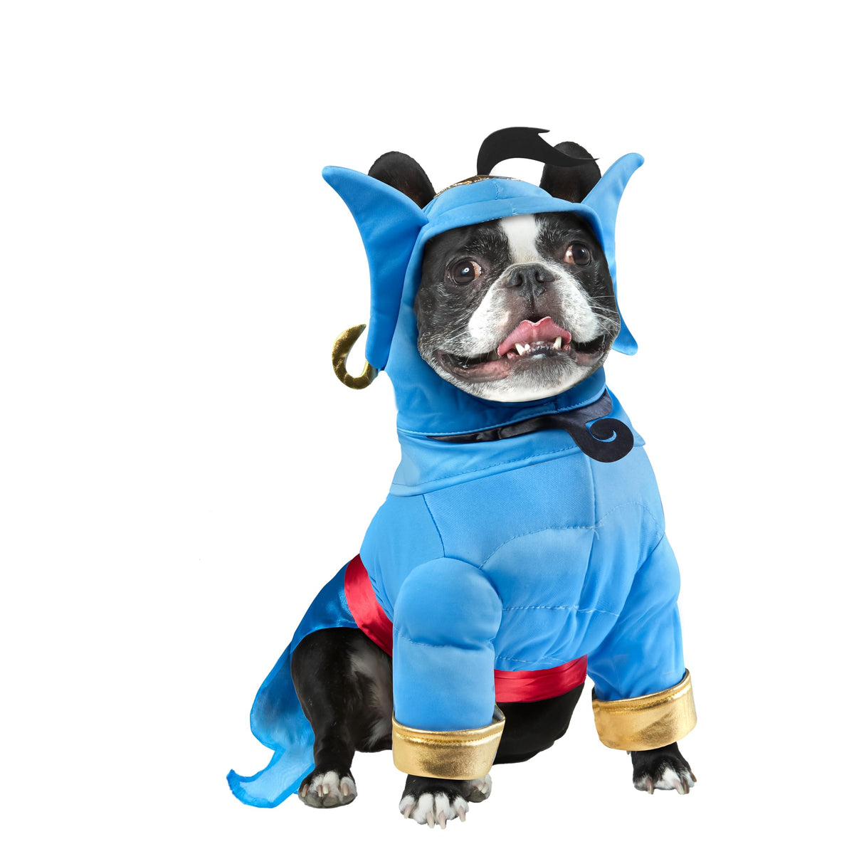 Rubies Aladdin Genie: costume pour chien ou chat en XL, parfait pour Halloween et séances photo.