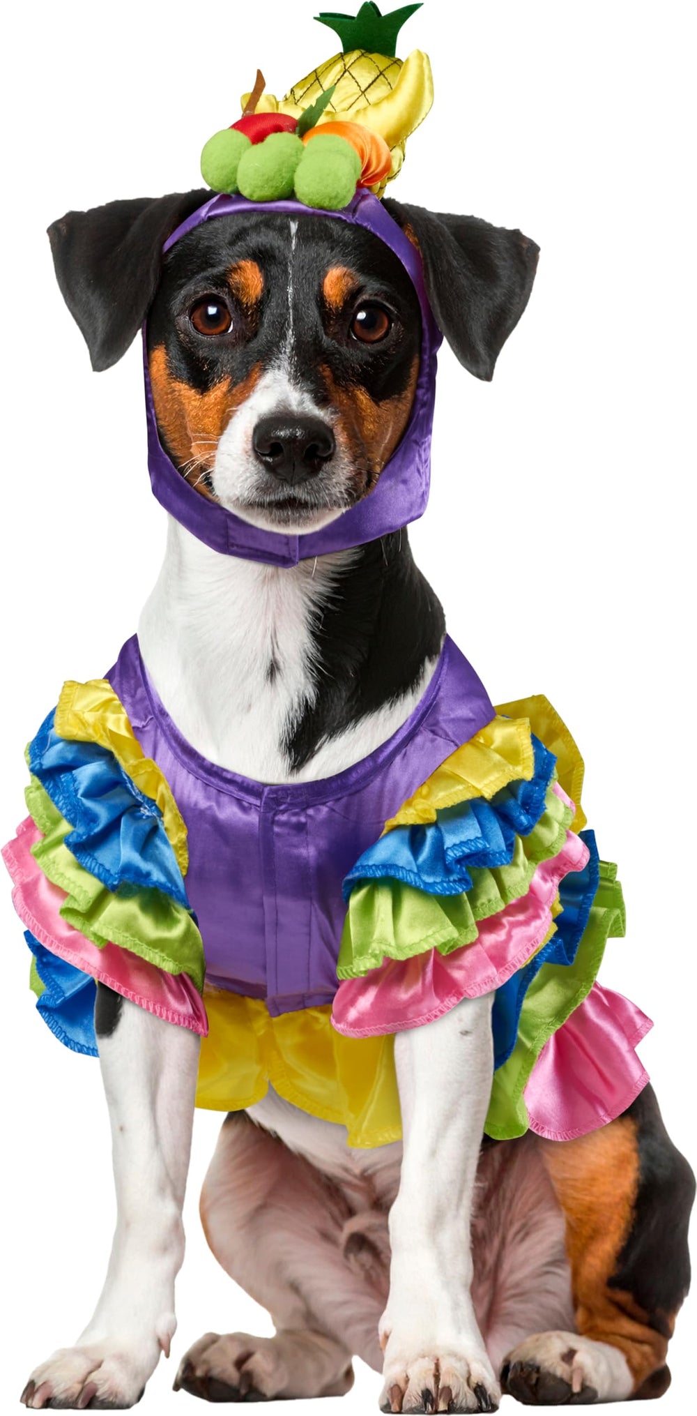 Rubies Brazilian Bombshell robe-volants colorée pour chien ou chat prête pour les fêtes
