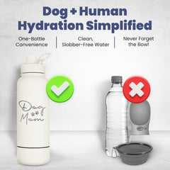 Rubyloo bol détachable 8oz pour chien, facilite l'hydratation du compagnon.