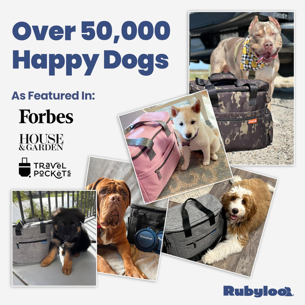Cadeau ideal pour maitres de chiens avec le sac Rubyloo, pratique et utile.