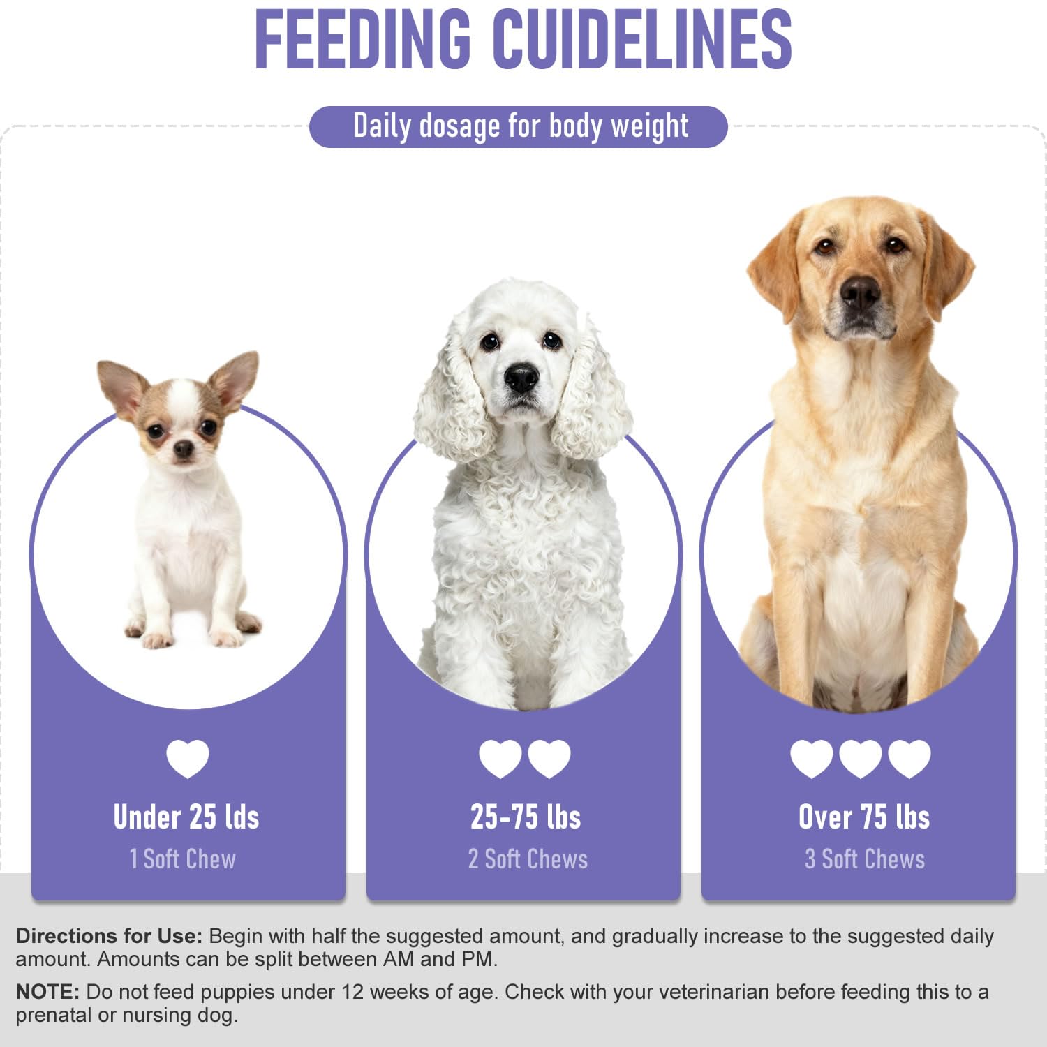 Rudiccs Probiotiques chien – ingrédients probiotiques : délicieuse friandise pour l'équilibre intestinal.
