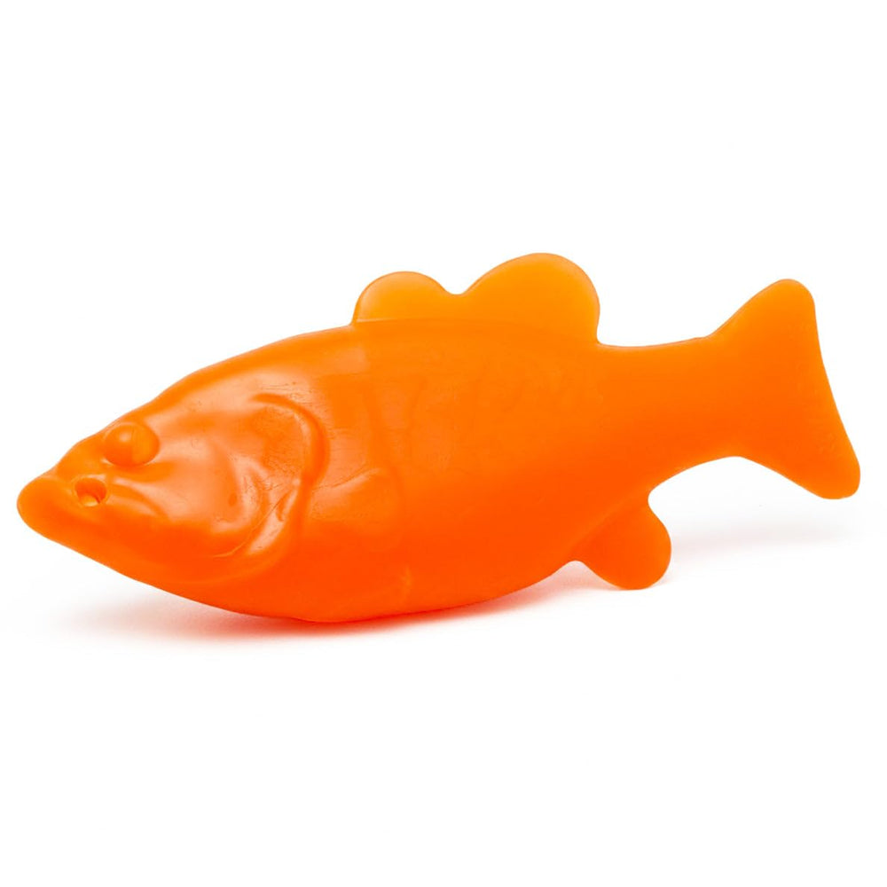Ruff Dawg Flying Fish jouet eau, facile à lancer pour des jeux actifs