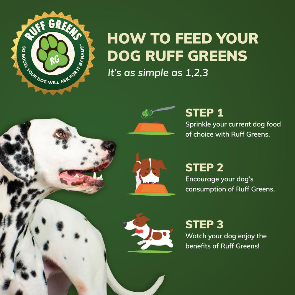Ruff Greens : chien senior en mouvement, potentiel soutien à la mobilité.