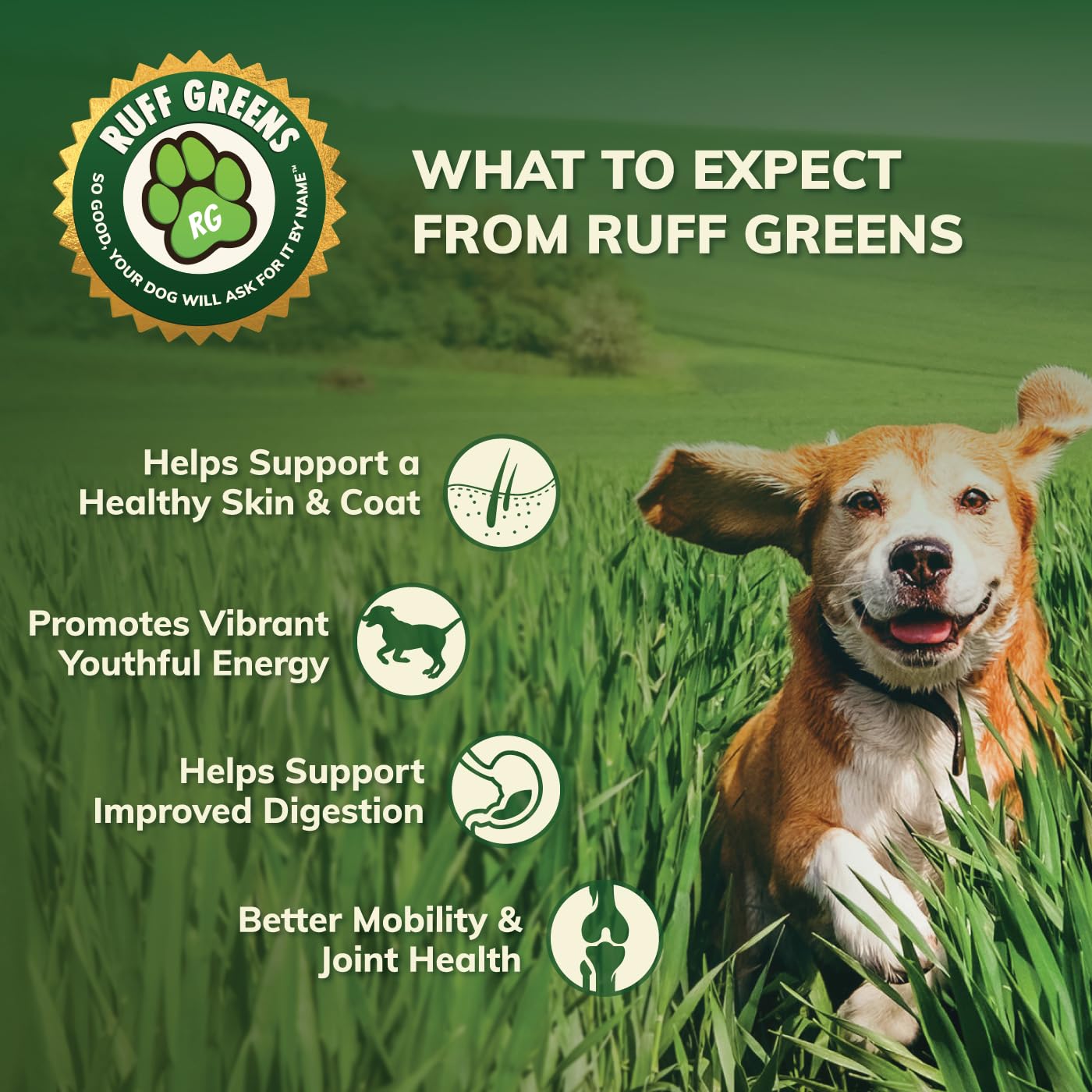 Ruff Greens : formule adaptée aux grandes races, soutien articulations.