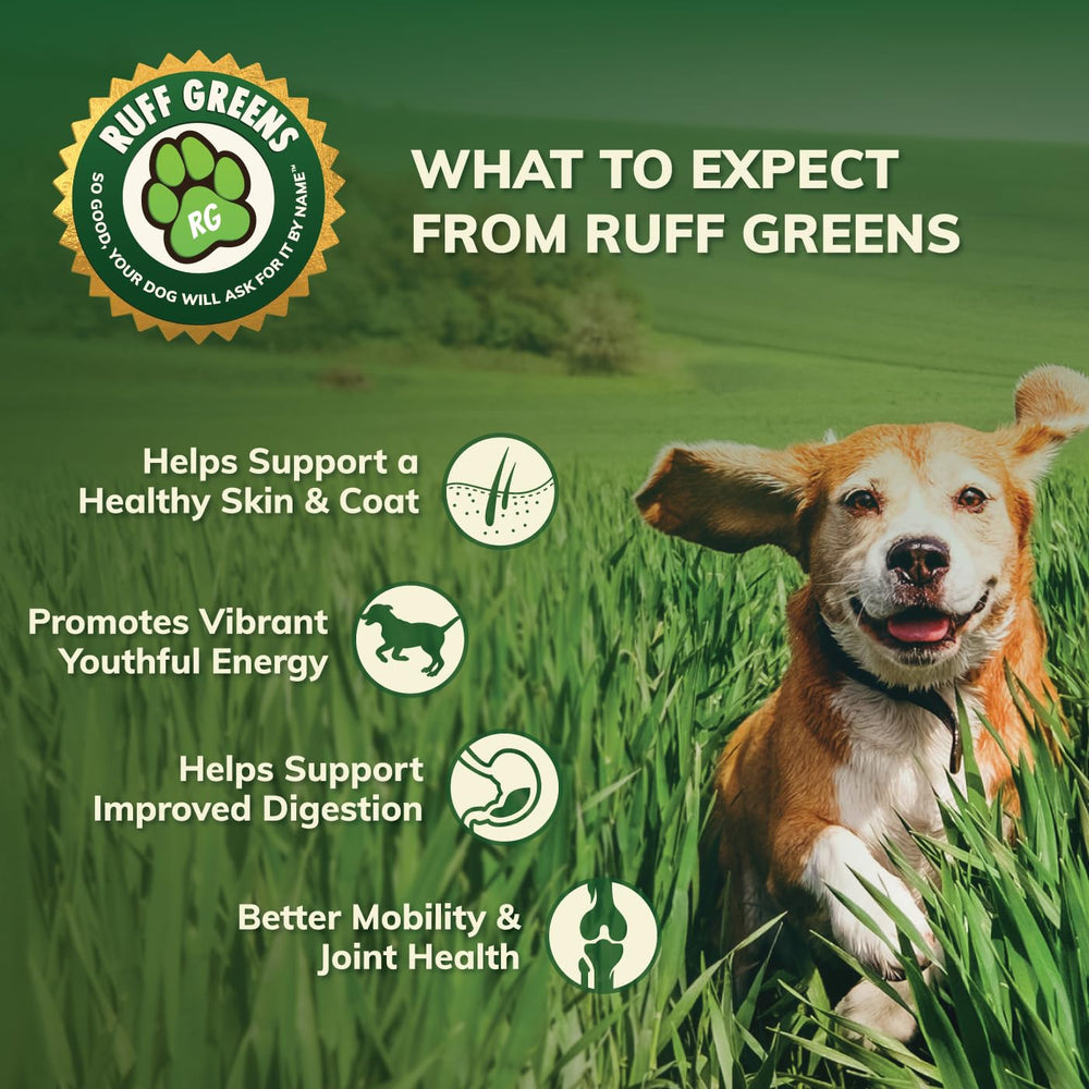 Ruff Greens : formule adaptée aux grandes races, soutien articulations.