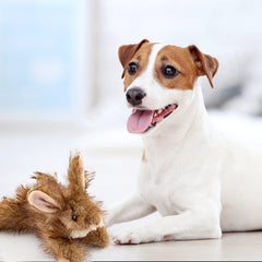 RUFFIN' IT design réaliste du lapin en peluche Woodlands