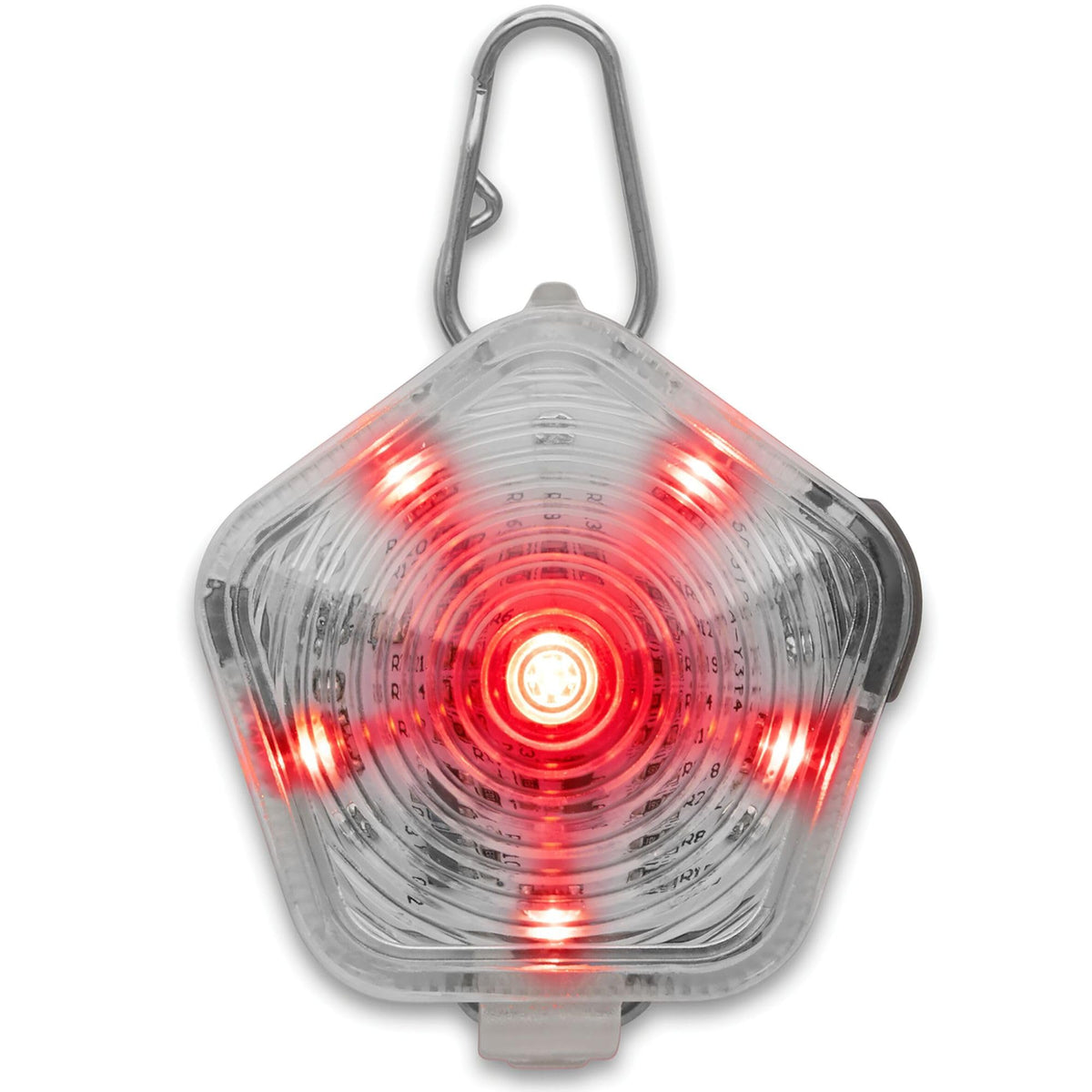 Beacon Ruffwear sur le chien à l avant, visibilité nocturne améliorée.