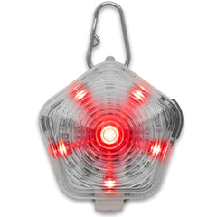 Beacon Ruffwear sur le chien à l avant, visibilité nocturne améliorée.