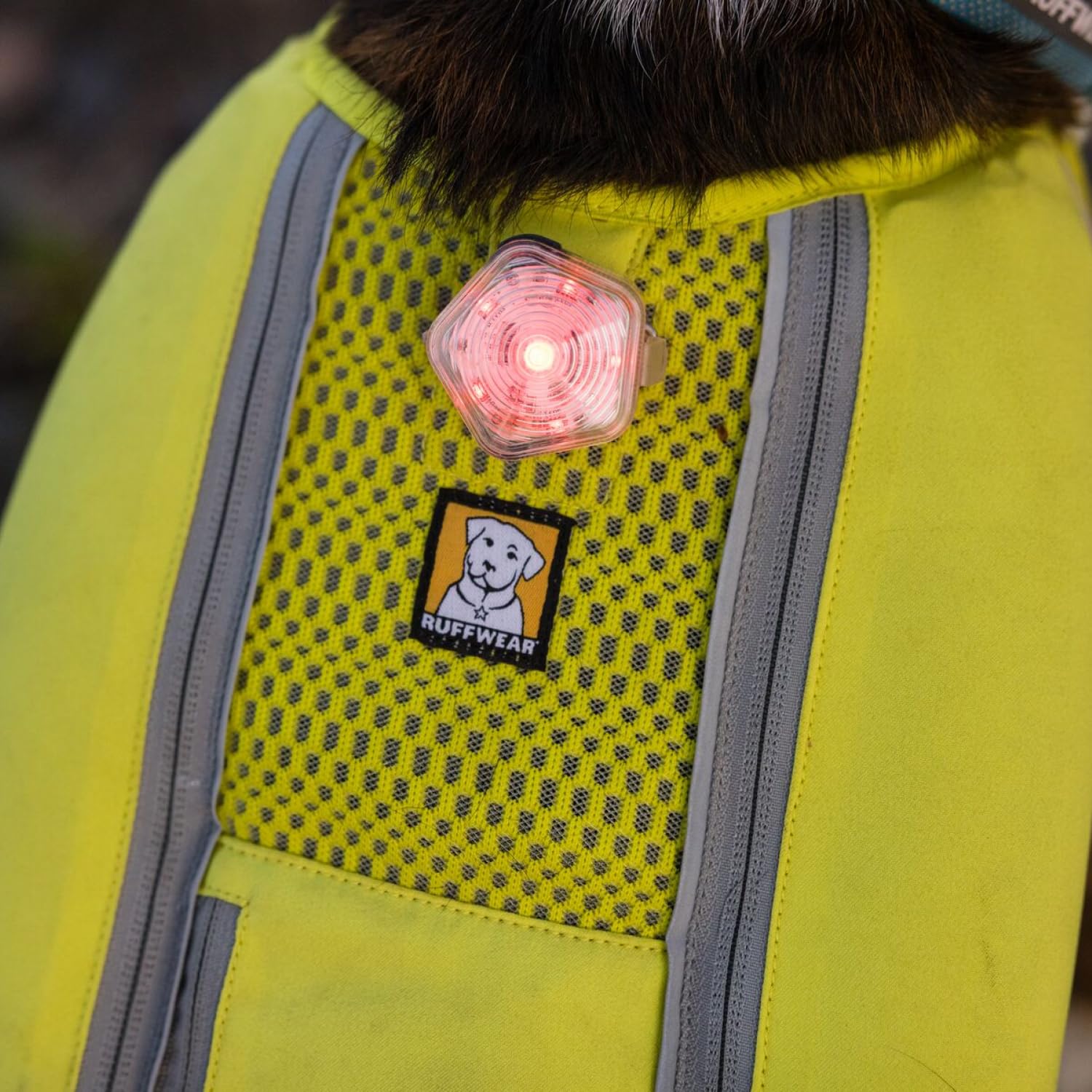 Beacon Ruffwear dans la boue, robuste et durable.