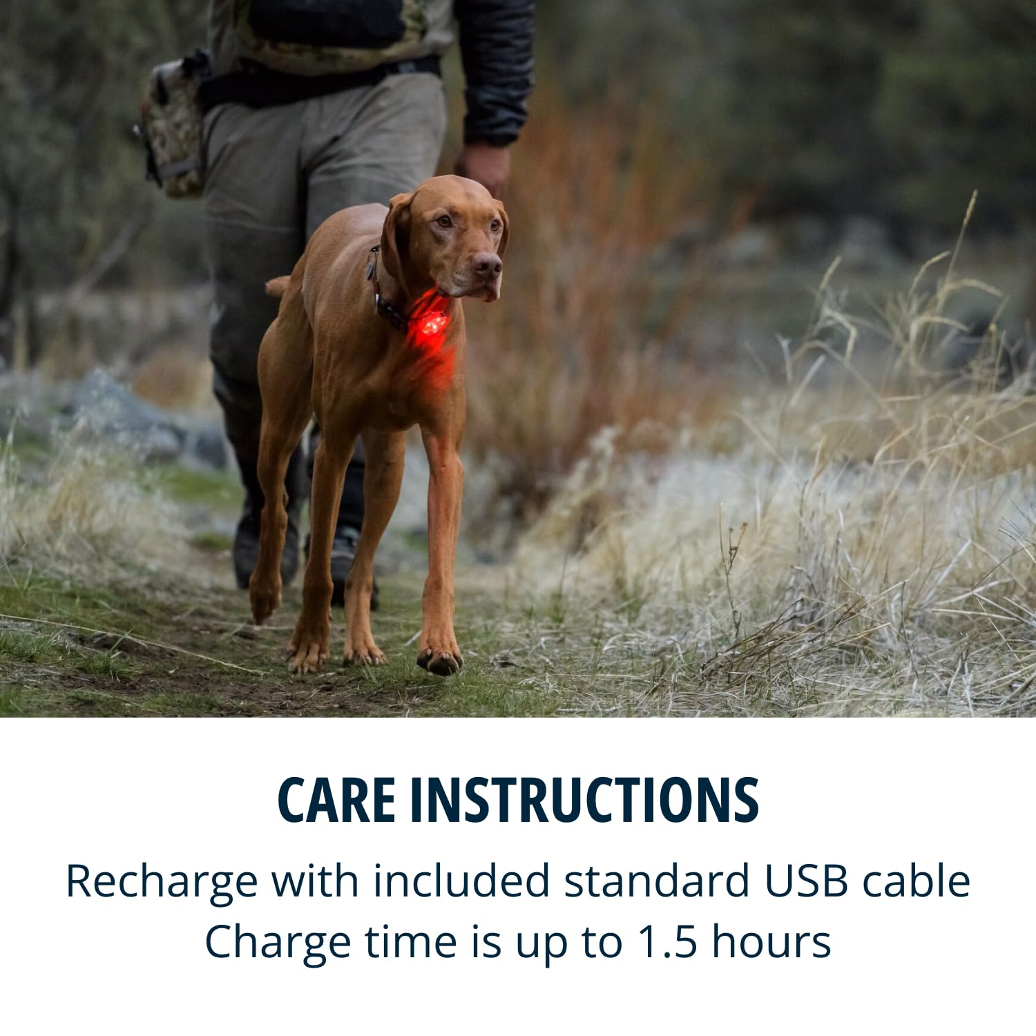 Beacon Ruffwear sous la pluie, reste étanche et fiable.