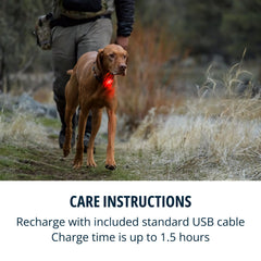 Beacon Ruffwear sous la pluie, reste étanche et fiable.
