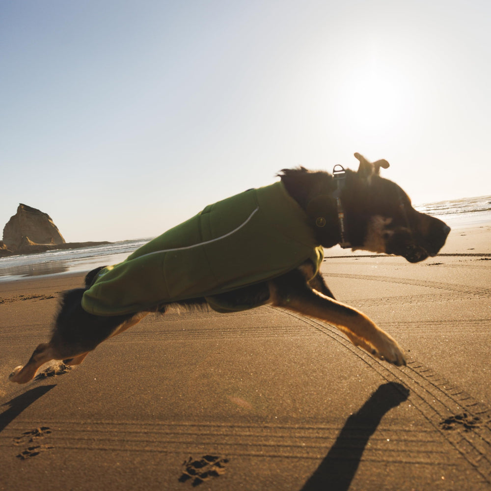Ruffwear Climate Changer poignets elastiques — confort et liberté de mouvement pour les pattes