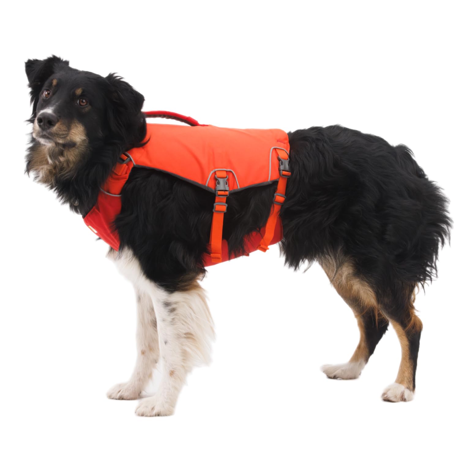 Ruffwear Confluence gilet, anneau de laisse et sécurité renforcée
