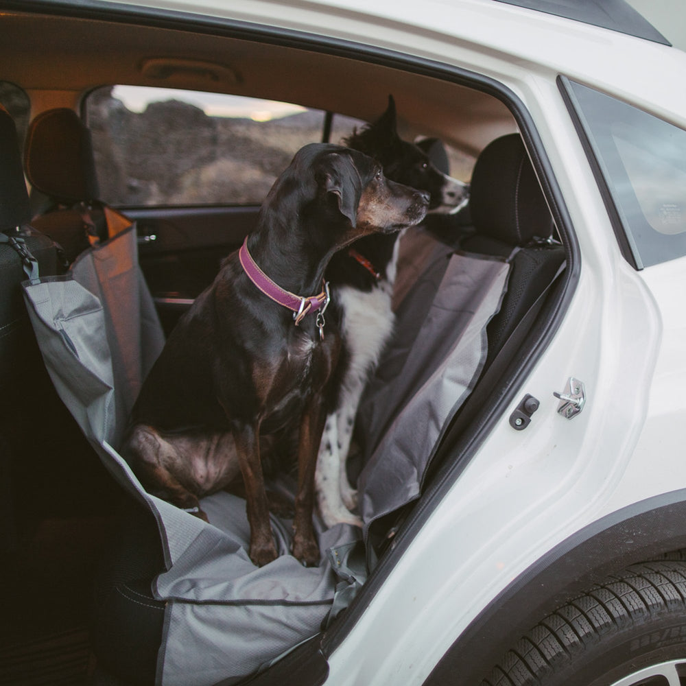 Ruffwear Dirtbag, couleur gris-basalte s'accorde élégamment