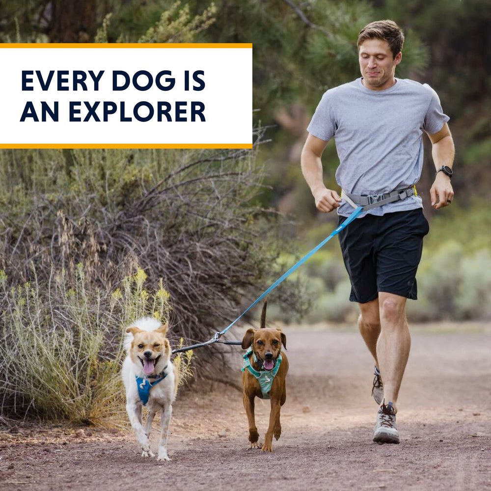 Ruffwear Double Track Coupler: solution légère et robuste pour des sorties avec deux chiens.