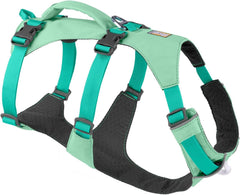 Harnais Ruffwear Flagline pour chien en randonnée, confort et liberté de mouvement.