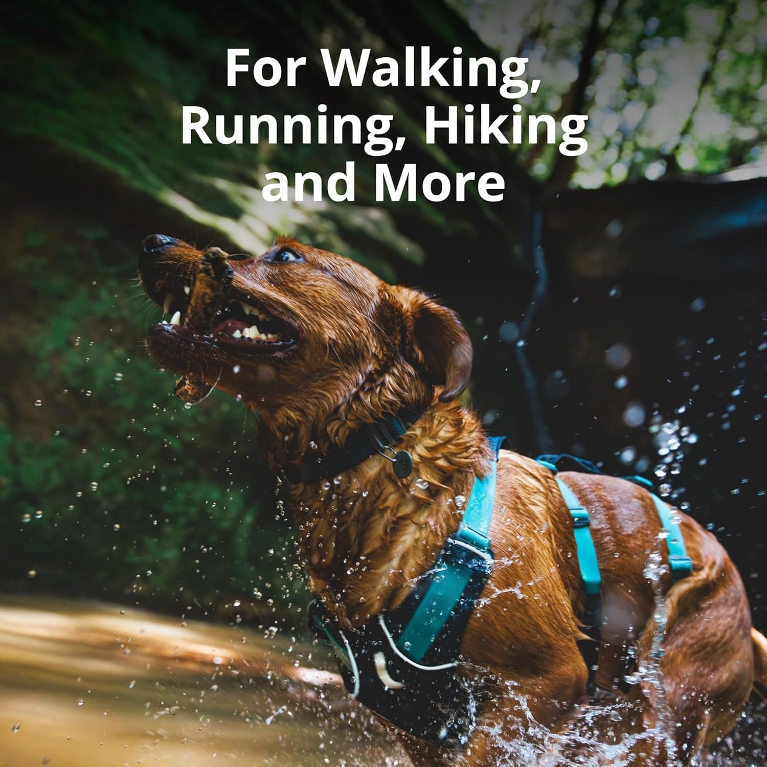 Ruffwear Flagline harnais aide-levee poignee rembourree facilite le leve du chien