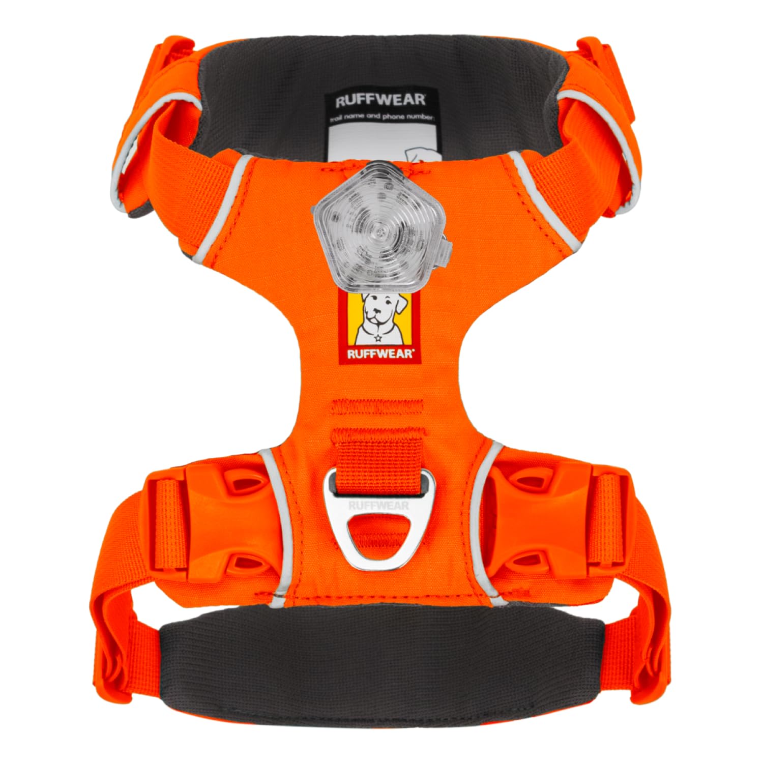 Harnais Ruffwear Front Range et boucle Beacon Light pour sorties nocturnes.