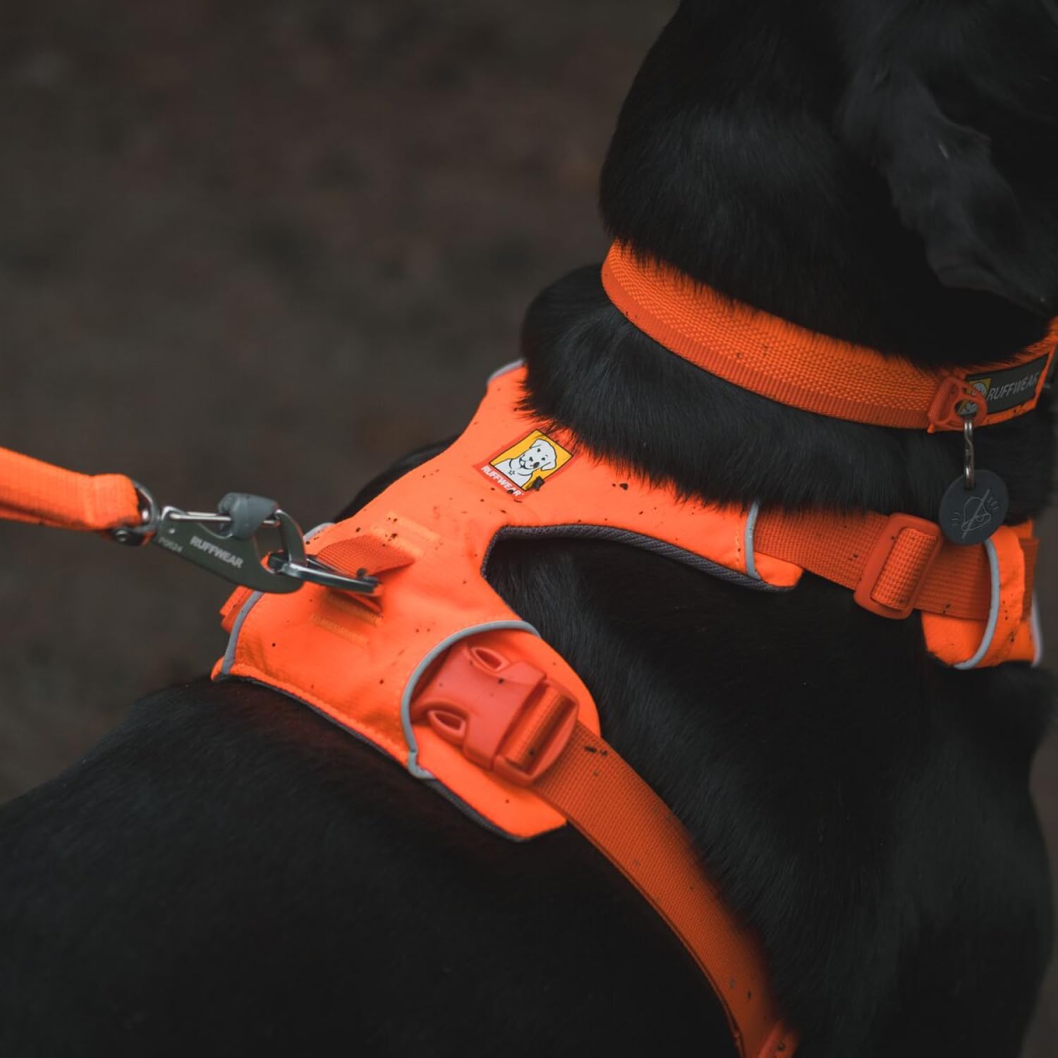 Harnais Ruffwear Front Range avec boucles latérales pour enfiler rapidement.
