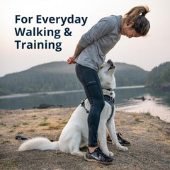Ruffwear Front Range rembourrage en mousse pour éviter les frottements.
