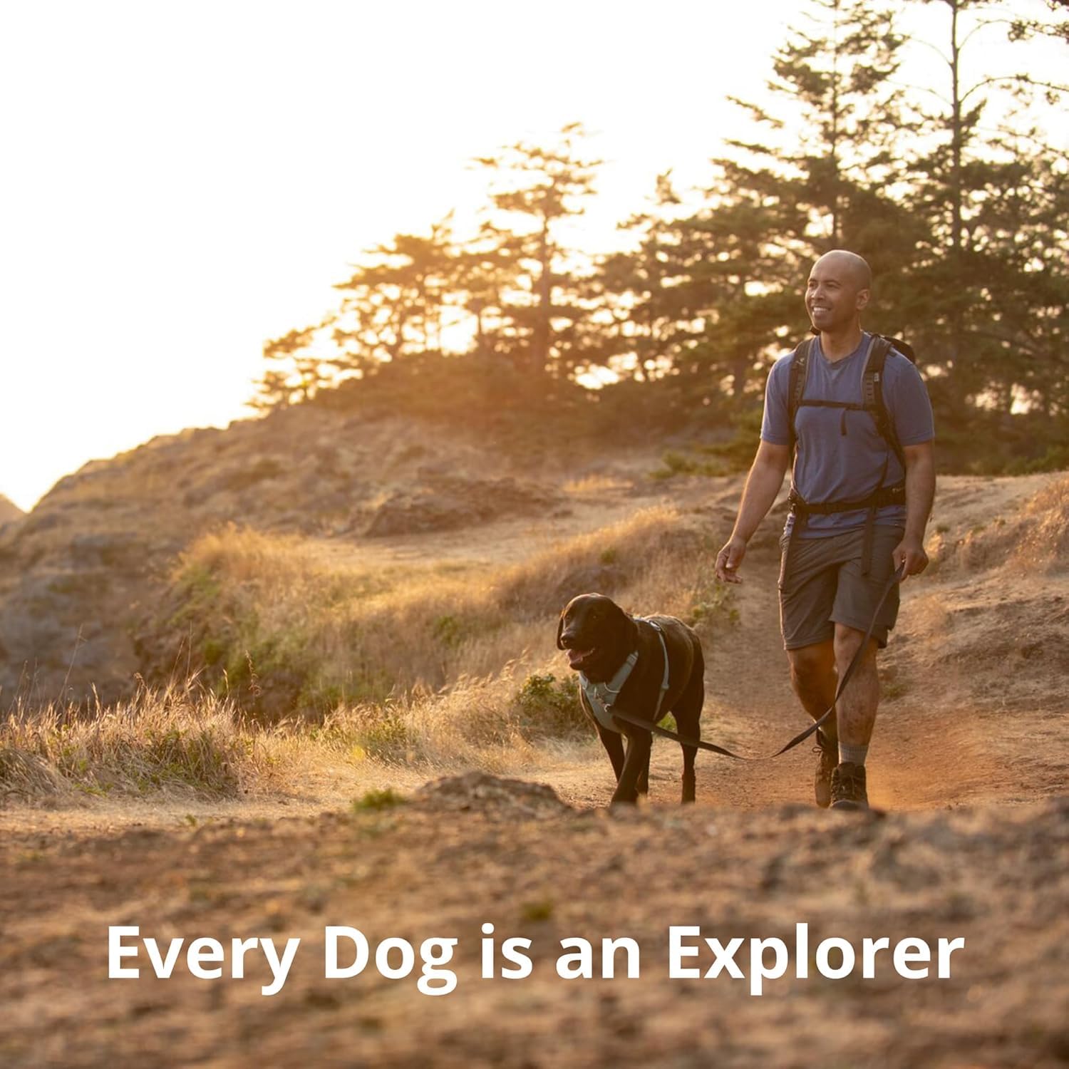 Ruffwear Front Range harnais utilisation quotidienne adaptée promenades et entraînements