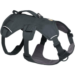Harnais Ruffwear Web Master avec poignée renforcée pour aide au levage et mobilité.