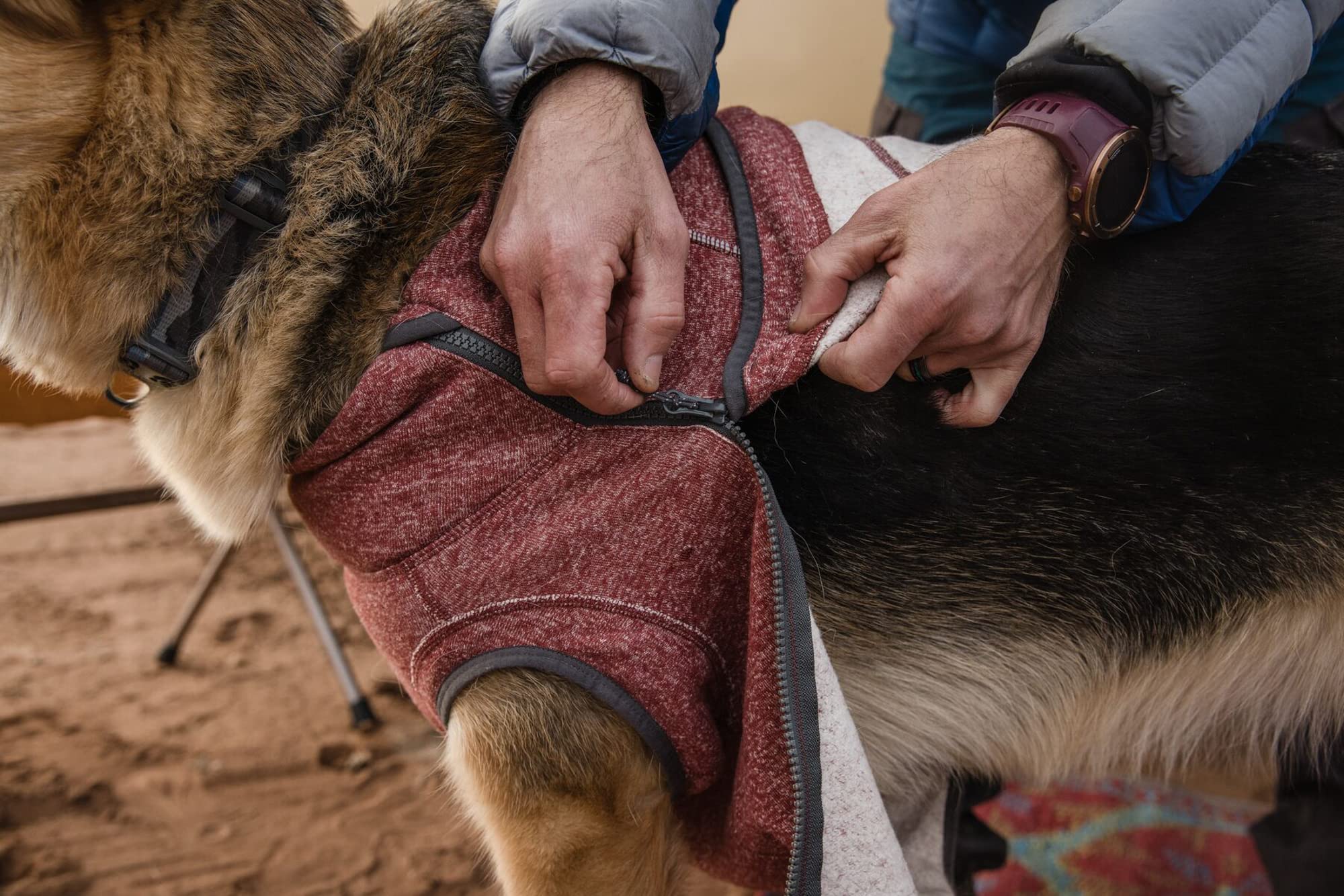 Ruffwear Hemp Hound Pull vue arrière, coupe adaptée aux épaules larges.