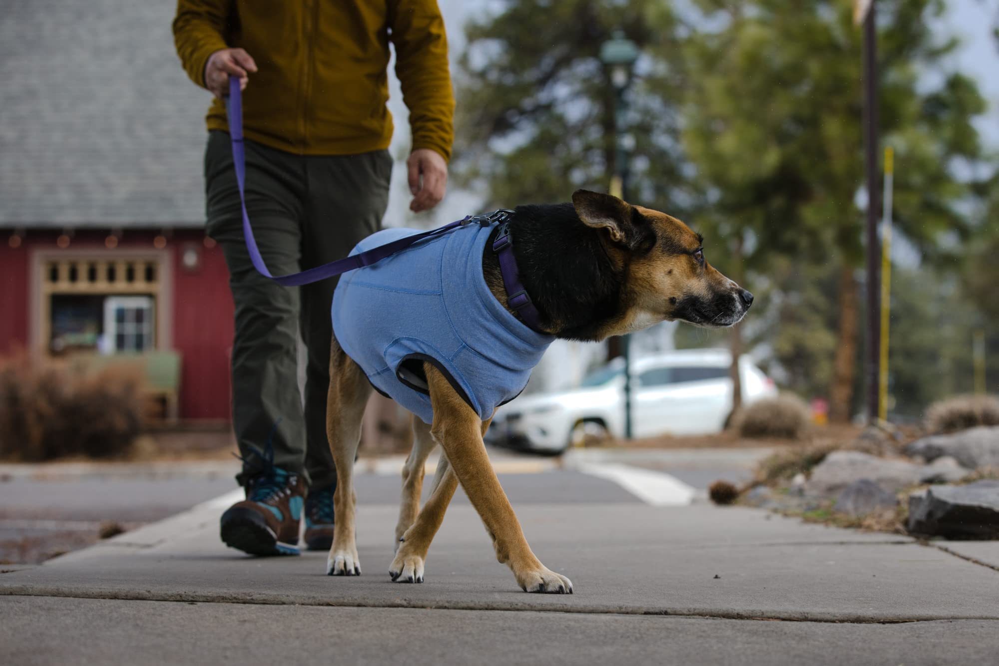 Ruffwear Hemp Hound Pull, idéal en superposition sous une coquille.