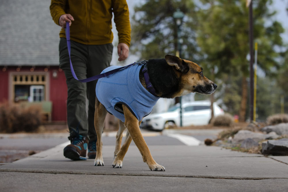Ruffwear Hemp Hound Pull, idéal en superposition sous une coquille.