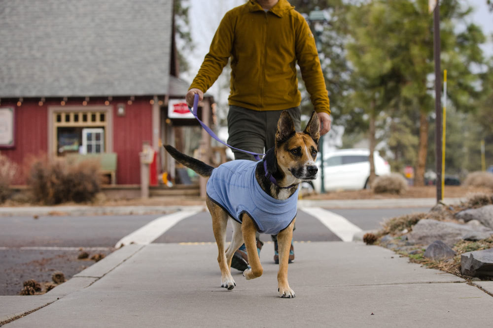 Ruffwear Hemp Hound Pull, manches ouvertes pour liberté de mouvement.