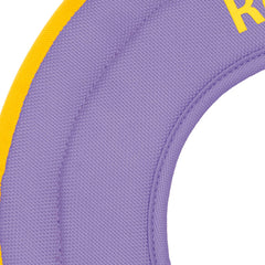 Ruffwear Hydro Plane Frisbee pour chien, matière douce et durable pour l’entraînement.