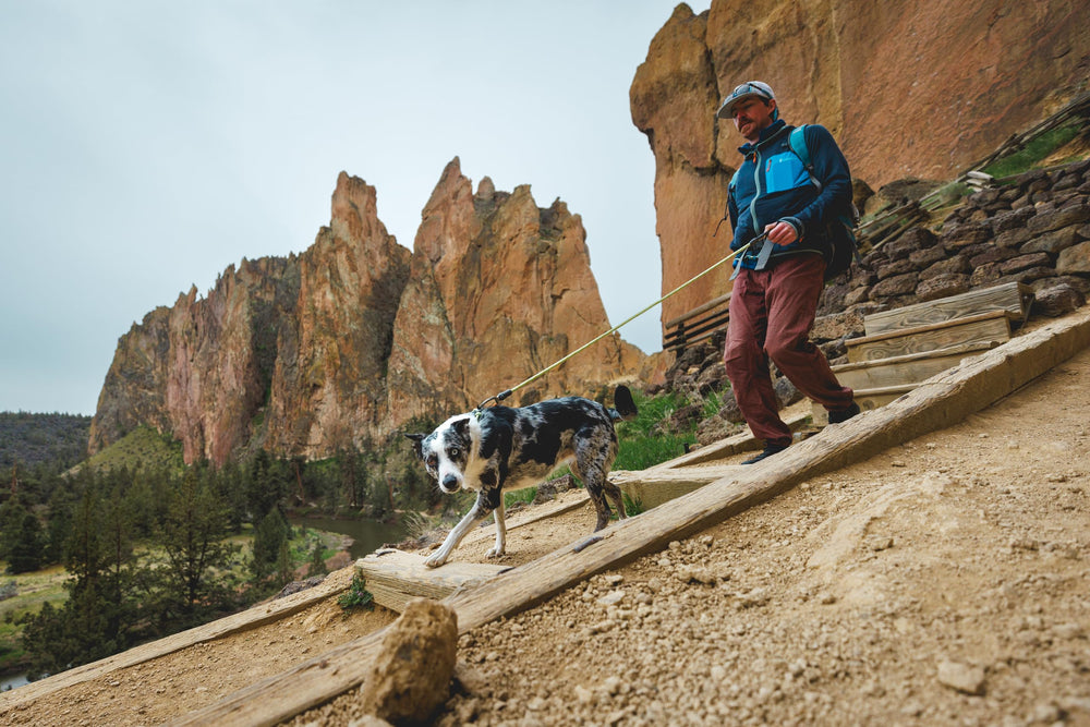 Ruffwear Knot‑a‑Leash idéale pour chiens actifs sur sentiers.