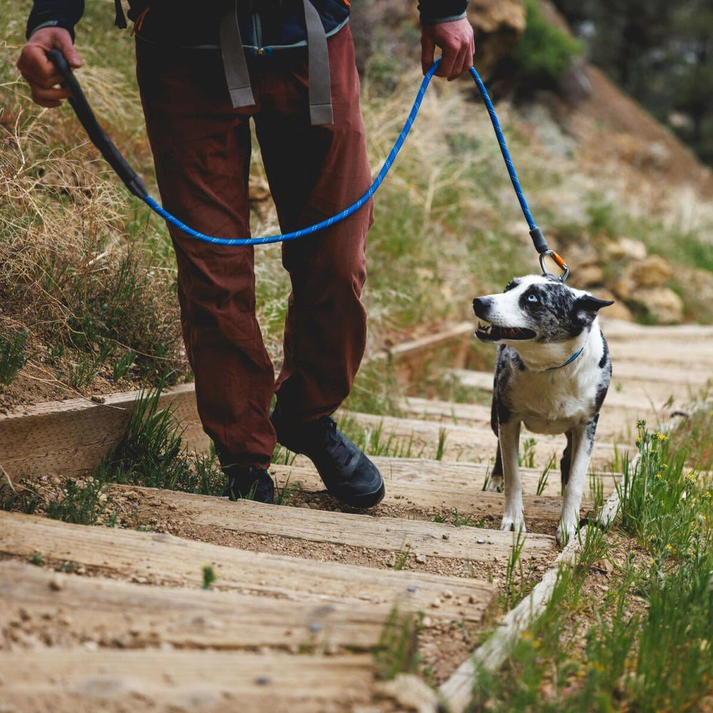 Ruffwear Knot‑a‑Leash sécurité renforcée pour chiens de grande taille.