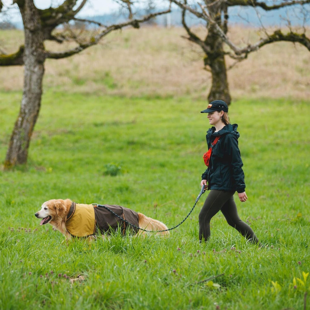 Ruffwear Knot‑a‑Leash sangle webbing durable résiste à l’usure.