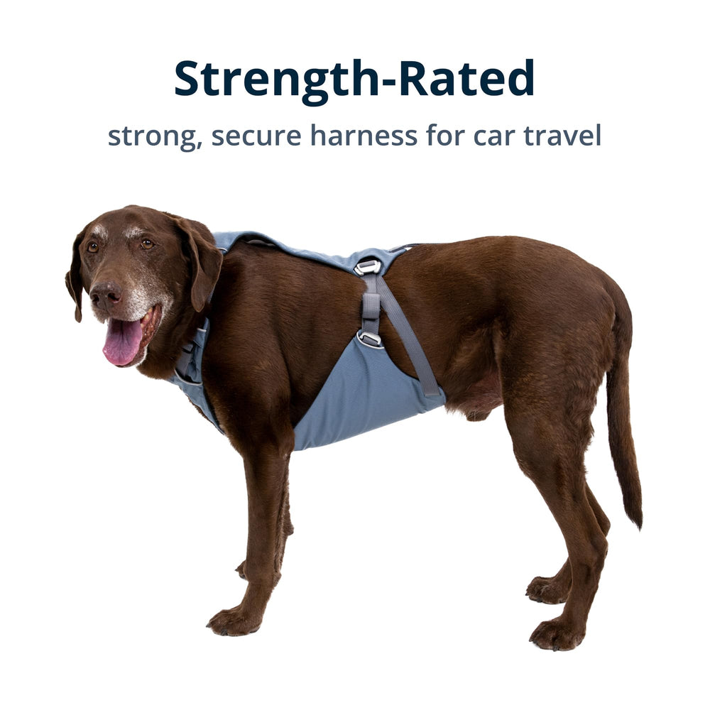 Guide taille Ruffwear Load Up aide a trouver l ajustement ideal