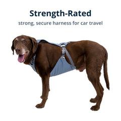 Guide taille Ruffwear Load Up aide a trouver l ajustement ideal