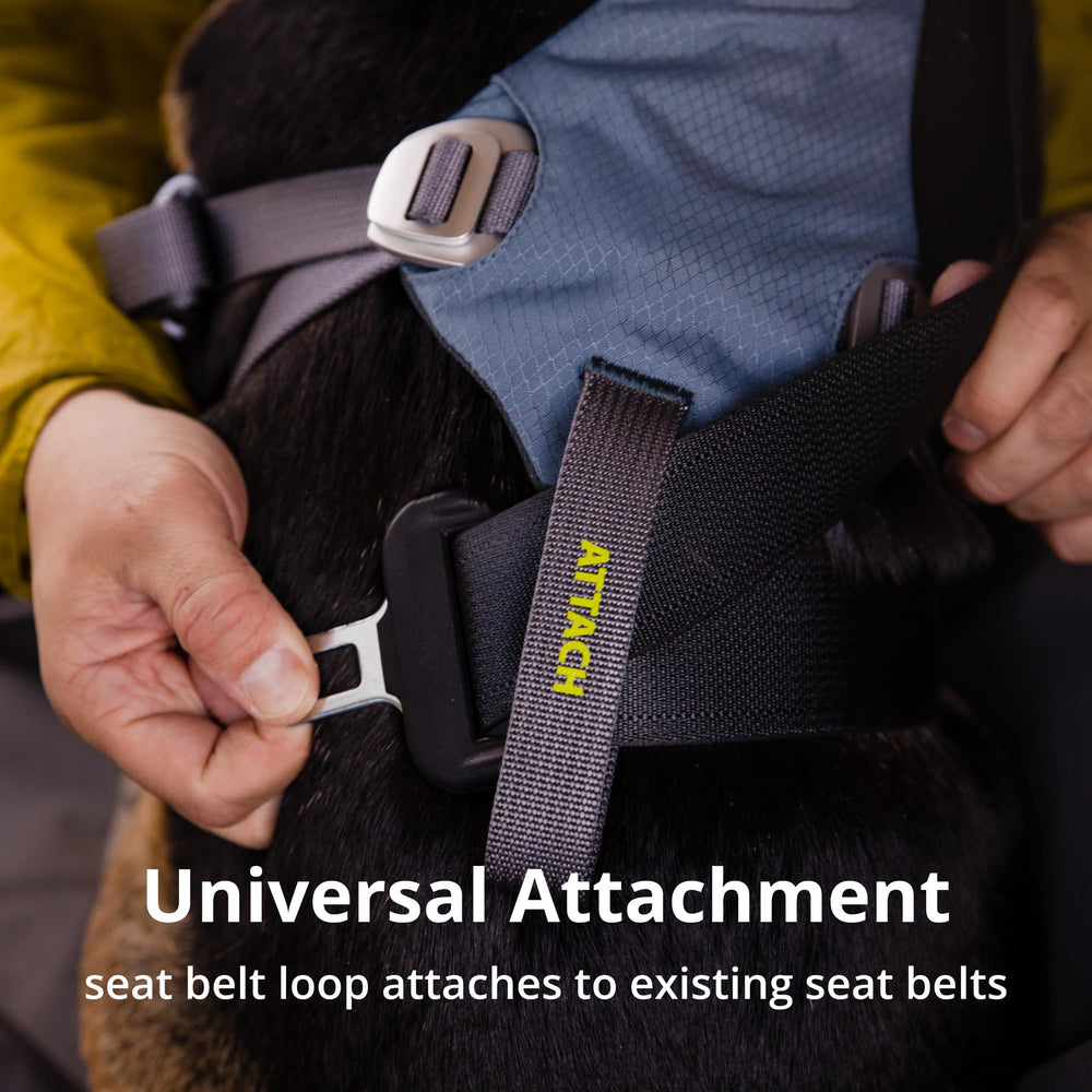 Install sans outil Load Up se fixe rapidement sur la ceinture de voiture