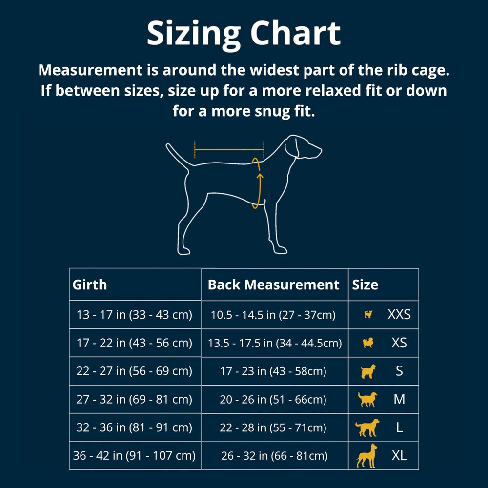 Ruffwear Quinzee, porte-liaison sur le dos, pratique avec harnais.