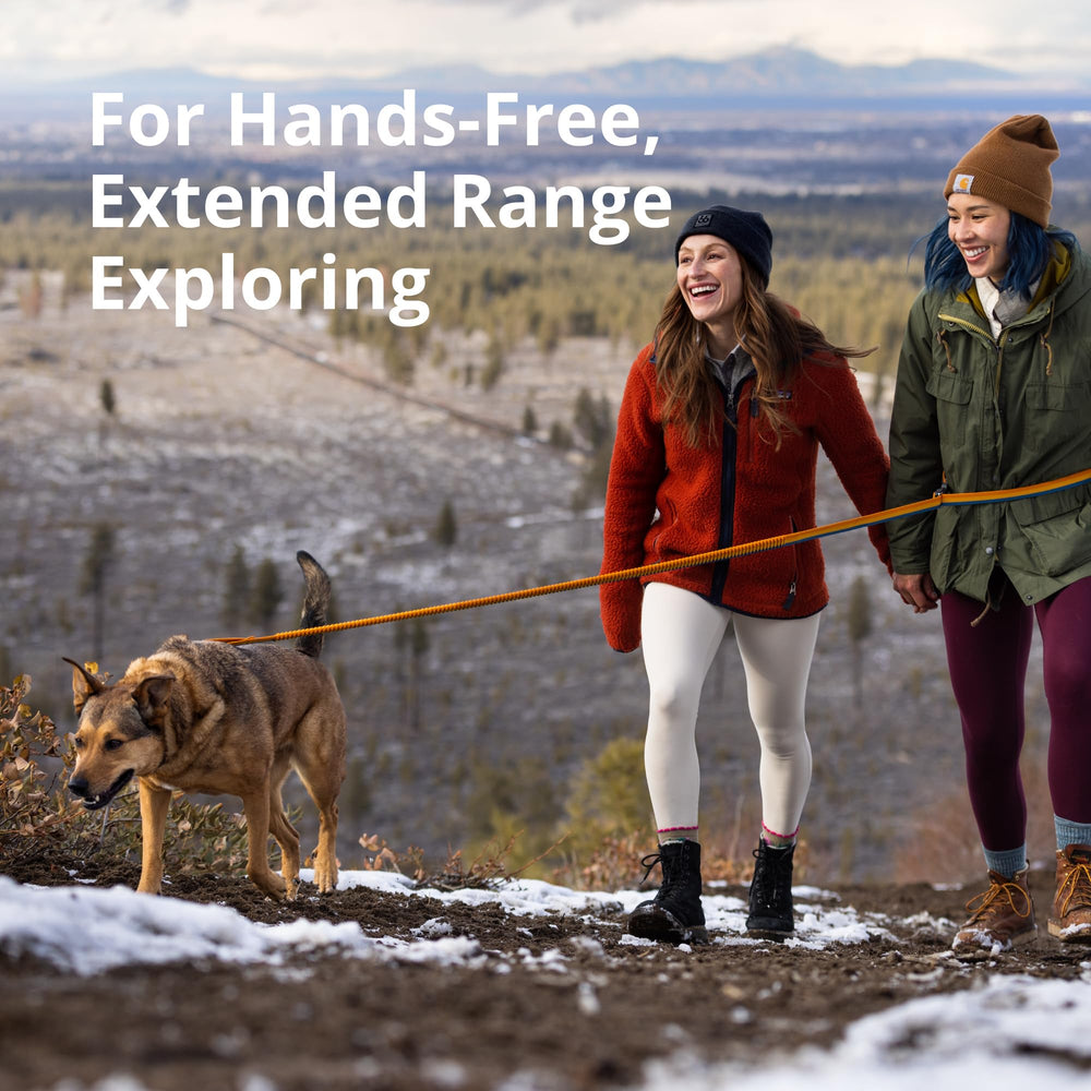 Clip tournant Ruffwear Roamer Bungee pour connexion fiable
