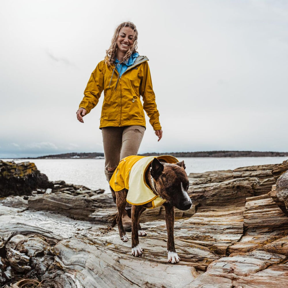 Col de tempête surdimensionné Ruffwear Sun Shower protège contre le vent