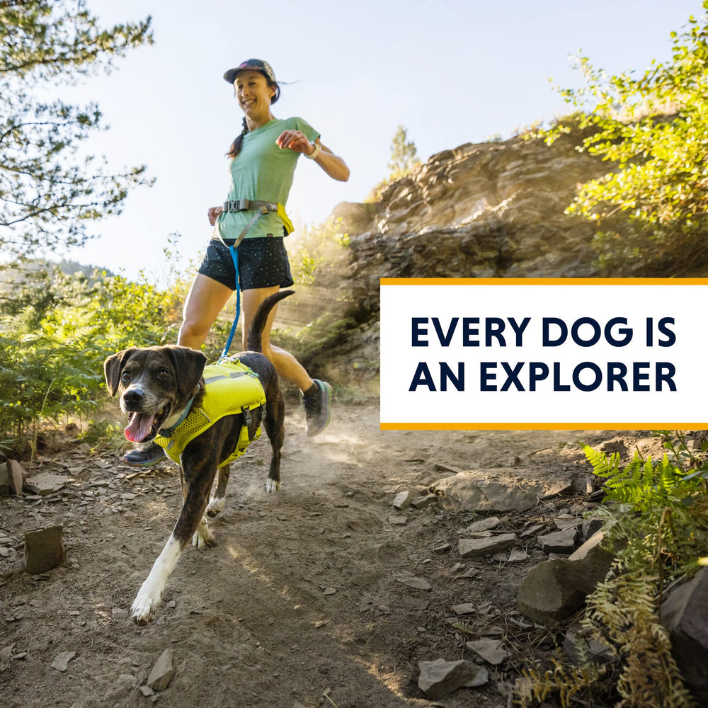 Ruffwear Trail Runner tissu durable et sangles résistantes.
