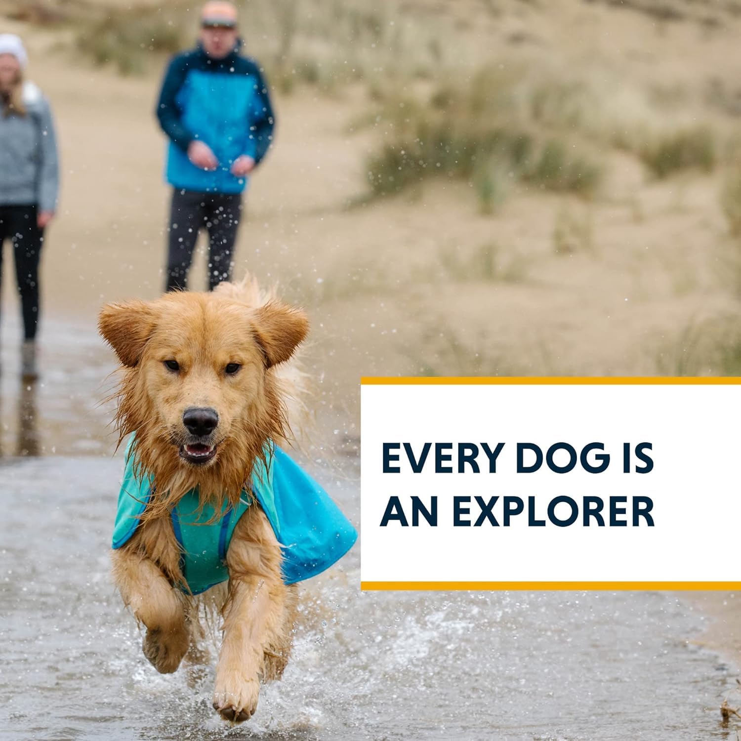 Utilisation Ruffwear Sun Shower en extérieur sous pluie et vent