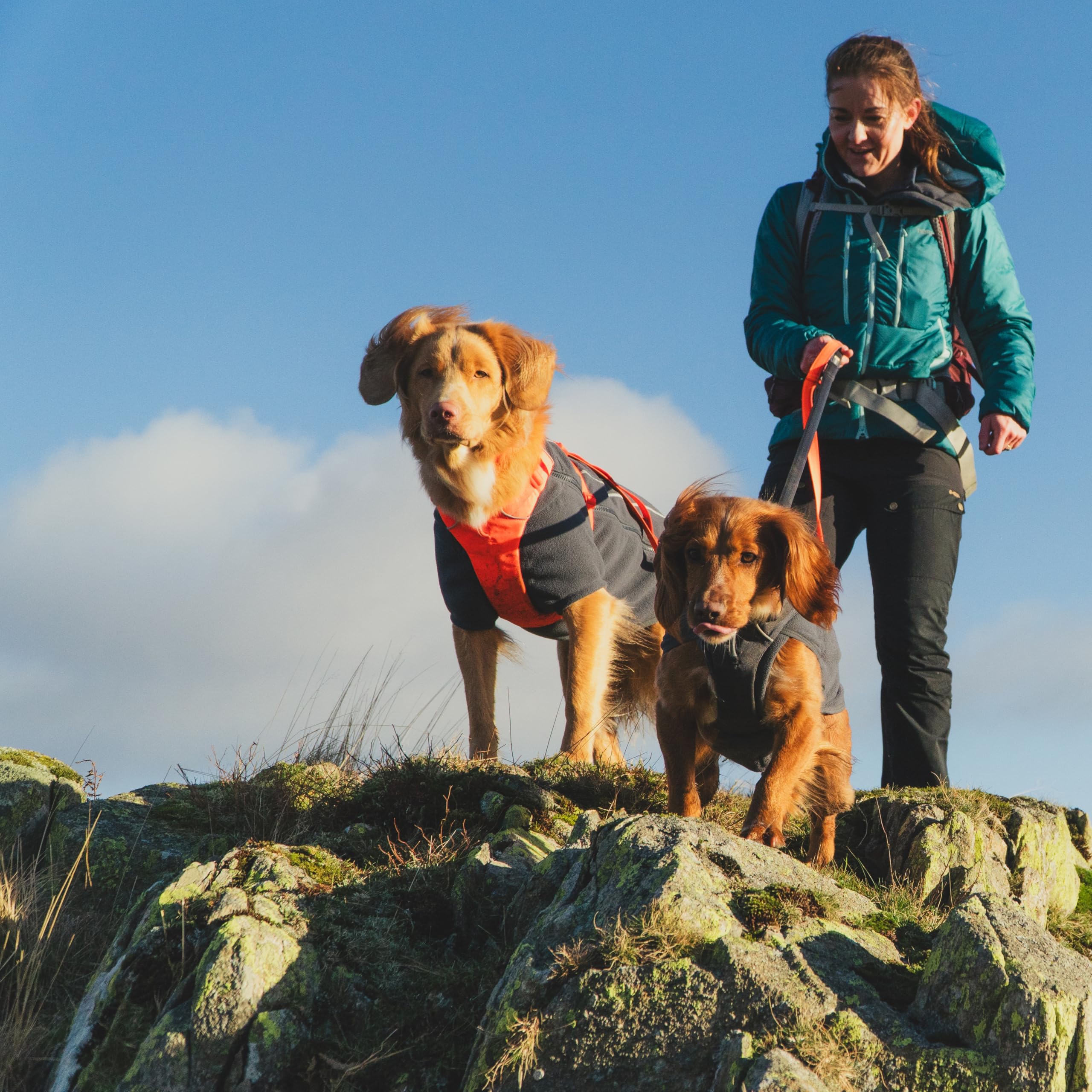 Veste polaire Ruffwear — taille Large adaptée aux chiens de grande taille.