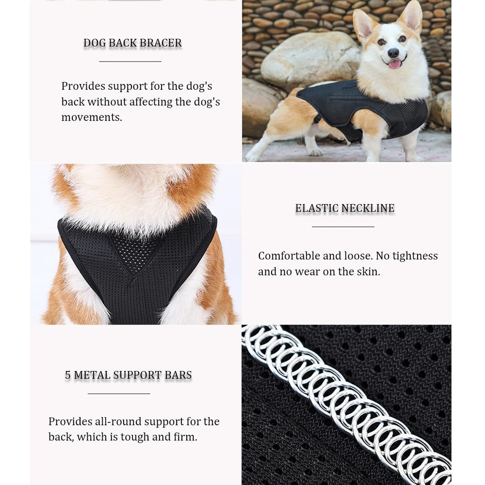 RUIFAR orthèse dos chien IVDD — maille respirante, confort durable lors des activités.