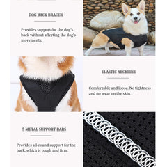 RUIFAR orthèse dos chien IVDD — maille respirante, confort durable lors des activités.
