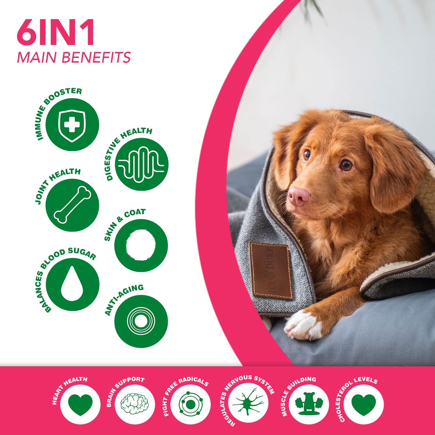 Ruji Naturals bouchées riches en oméga 3 et 6 pour chien