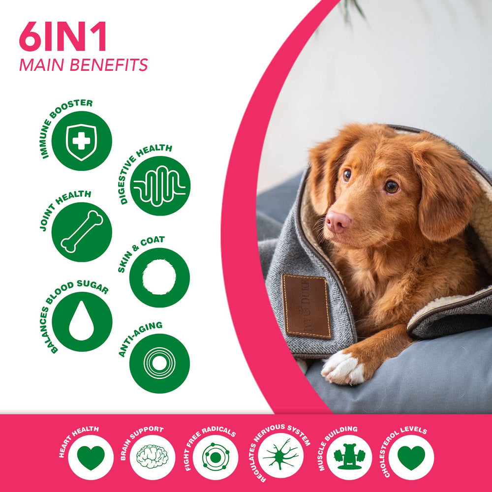 Ruji Naturals bouchées riches en oméga 3 et 6 pour chien