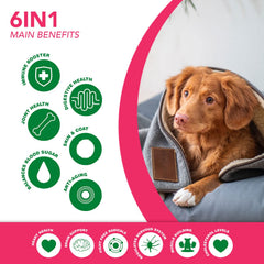 Ruji Naturals bouchées riches en oméga 3 et 6 pour chien