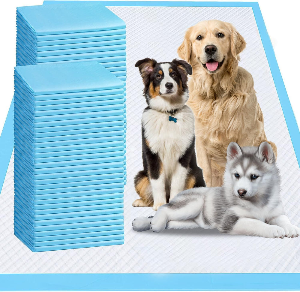 RUMAGI pads grand format 31x36 pour chien avec absorption rapide.
